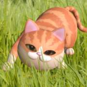 ヒメ日記 2025/10/19 22:05 投稿 花倉りょうこ 五反田発 痴漢電車or全裸入室