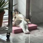 ヒメ日記 2025/10/30 07:07 投稿 花倉りょうこ 五反田発 痴漢電車or全裸入室