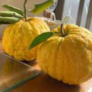 ヒメ日記 2025/12/17 23:04 投稿 花倉りょうこ 五反田発 痴漢電車or全裸入室