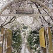 ヒメ日記 2026/02/08 11:14 投稿 もも アクトレス池袋店(ユメオト)