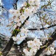 ヒメ日記 2026/03/27 11:50 投稿 もも アクトレス池袋店(ユメオト)