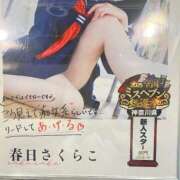 ヒメ日記 2025/09/03 17:17 投稿 春日 さくらこ OLIVE SPA