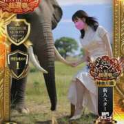 ヒメ日記 2025/11/19 01:56 投稿 春日 さくらこ OLIVE SPA