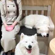 ヒメ日記 2025/10/18 16:16 投稿 聖 ゆき OLIVE SPA