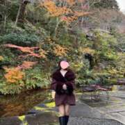 ヒメ日記 2025/12/29 20:36 投稿 里野 ダイヤ OLIVE SPA