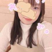 ヒメ日記 2025/11/09 06:20 投稿 れいみ 豊満倶楽部