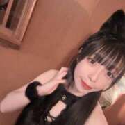 ヒメ日記 2025/11/06 12:11 投稿 のん★(二輪車可) プリマドンナ