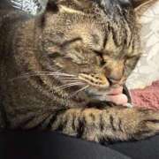 ヒメ日記 2025/09/20 08:59 投稿 ちむ アイドルドリーム