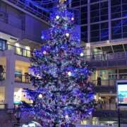 ヒメ日記 2025/12/23 09:19 投稿 ちむ アイドルドリーム