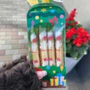 ヒメ日記 2025/12/12 17:11 投稿 ひなた びくびくサークル五反田店