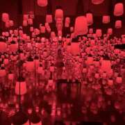 ヒメ日記 2025/11/23 11:03 投稿 みずほ ティアラ