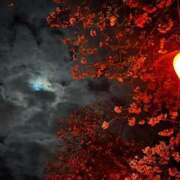 ヒメ日記 2026/04/11 07:36 投稿 あんな⭐︎ 可愛いの原典♡未開発 エアポート