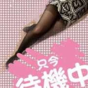 ヒメ日記 2025/11/25 17:35 投稿 ゆう SUZUME