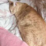 ヒメ日記 2025/10/13 00:39 投稿 そら 完熟ばなな札幌・すすきの