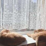 ヒメ日記 2025/10/15 09:19 投稿 そら 完熟ばなな札幌・すすきの