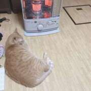 ヒメ日記 2025/10/21 07:49 投稿 そら 完熟ばなな札幌・すすきの