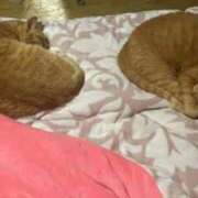 ヒメ日記 2025/10/21 21:39 投稿 そら 完熟ばなな札幌・すすきの