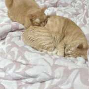 ヒメ日記 2025/10/27 21:19 投稿 そら 完熟ばなな札幌・すすきの