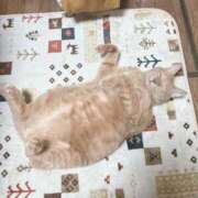 ヒメ日記 2025/10/31 22:19 投稿 そら 完熟ばなな札幌・すすきの