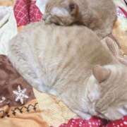 ヒメ日記 2025/11/01 21:19 投稿 そら 完熟ばなな札幌・すすきの