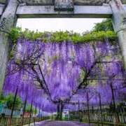 ヒメ日記 2025/11/07 21:49 投稿 そら 完熟ばなな札幌・すすきの