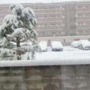 ヒメ日記 2025/11/08 08:29 投稿 そら 完熟ばなな札幌・すすきの