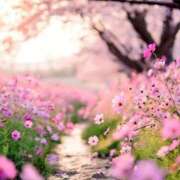 ヒメ日記 2025/11/16 08:59 投稿 そら 完熟ばなな札幌・すすきの