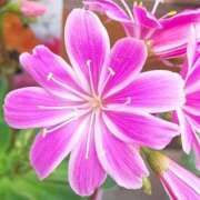 ヒメ日記 2025/12/04 10:15 投稿 そら 完熟ばなな札幌・すすきの