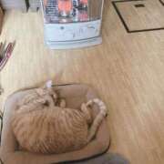 そら 寒くて 完熟ばなな札幌・すすきの