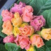 ヒメ日記 2025/12/14 20:09 投稿 そら 完熟ばなな札幌・すすきの