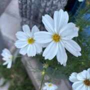 ヒメ日記 2025/12/17 06:50 投稿 そら 完熟ばなな札幌・すすきの