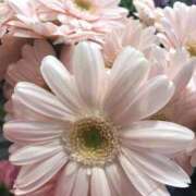 ヒメ日記 2025/12/28 19:49 投稿 そら 完熟ばなな札幌・すすきの