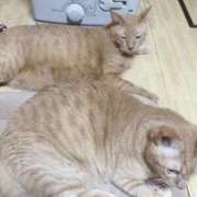 ヒメ日記 2026/01/19 23:39 投稿 そら 完熟ばなな札幌・すすきの