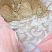 ヒメ日記 2026/01/23 23:39 投稿 そら 完熟ばなな札幌・すすきの