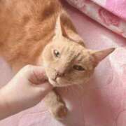 ヒメ日記 2026/01/28 09:29 投稿 そら 完熟ばなな札幌・すすきの