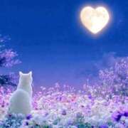 ヒメ日記 2026/02/11 22:19 投稿 そら 完熟ばなな札幌・すすきの