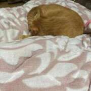 ヒメ日記 2026/02/22 20:09 投稿 そら 完熟ばなな札幌・すすきの