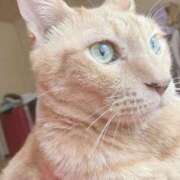 ヒメ日記 2026/03/01 10:00 投稿 そら 完熟ばなな札幌・すすきの