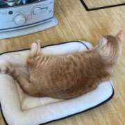 ヒメ日記 2026/03/02 10:07 投稿 そら 完熟ばなな札幌・すすきの