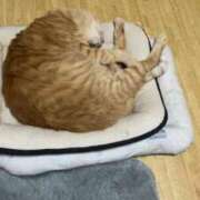 そら お久しぶりです 完熟ばなな札幌・すすきの