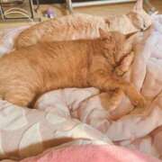 そら おやすみなさい♥️ 完熟ばなな札幌・すすきの