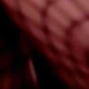 ヒメ日記 2026/02/24 21:16 投稿 峰　はづき 夜這い専門 発情する奥様たち梅田店