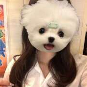 ヒメ日記 2025/09/06 20:33 投稿 のん an_an（アンアン）