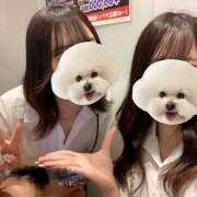 ヒメ日記 2025/10/03 21:32 投稿 のん an_an（アンアン）