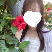 ヒメ日記 2025/11/10 21:10 投稿 のん an_an（アンアン）