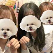 ヒメ日記 2025/12/07 21:25 投稿 のん an_an（アンアン）