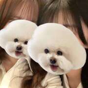 ヒメ日記 2025/12/10 19:11 投稿 のん an_an（アンアン）