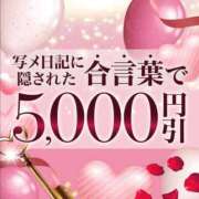 ヒメ日記 2025/11/21 21:02 投稿 清水 五反田人妻城