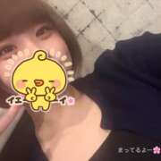 ヒメ日記 2026/04/09 10:48 投稿 リツ 【福岡デリヘル】20代・30代★博多で評判のお店はココです！