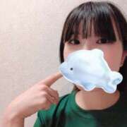 ヒメ日記 2025/09/19 19:02 投稿 ユラ ピカソ